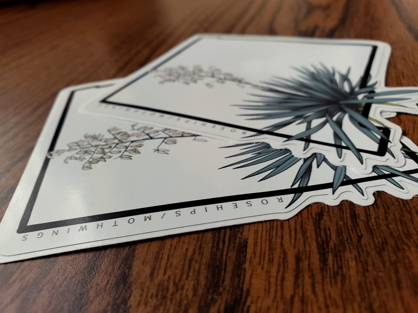 Yucca Sticker